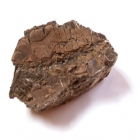 noah ark fragment
