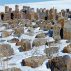 noraduz