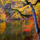 Parz lake