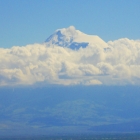 ararat