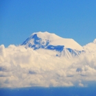 ararat